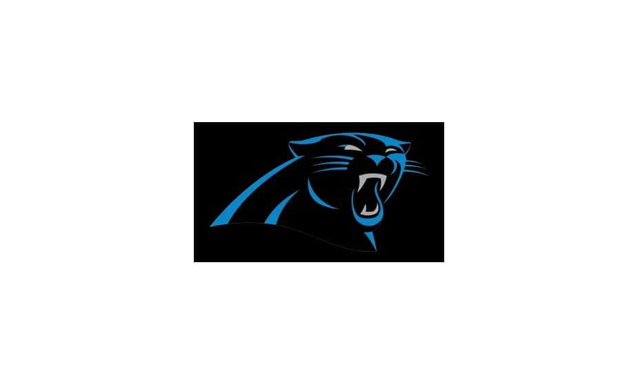 Panthers Logo